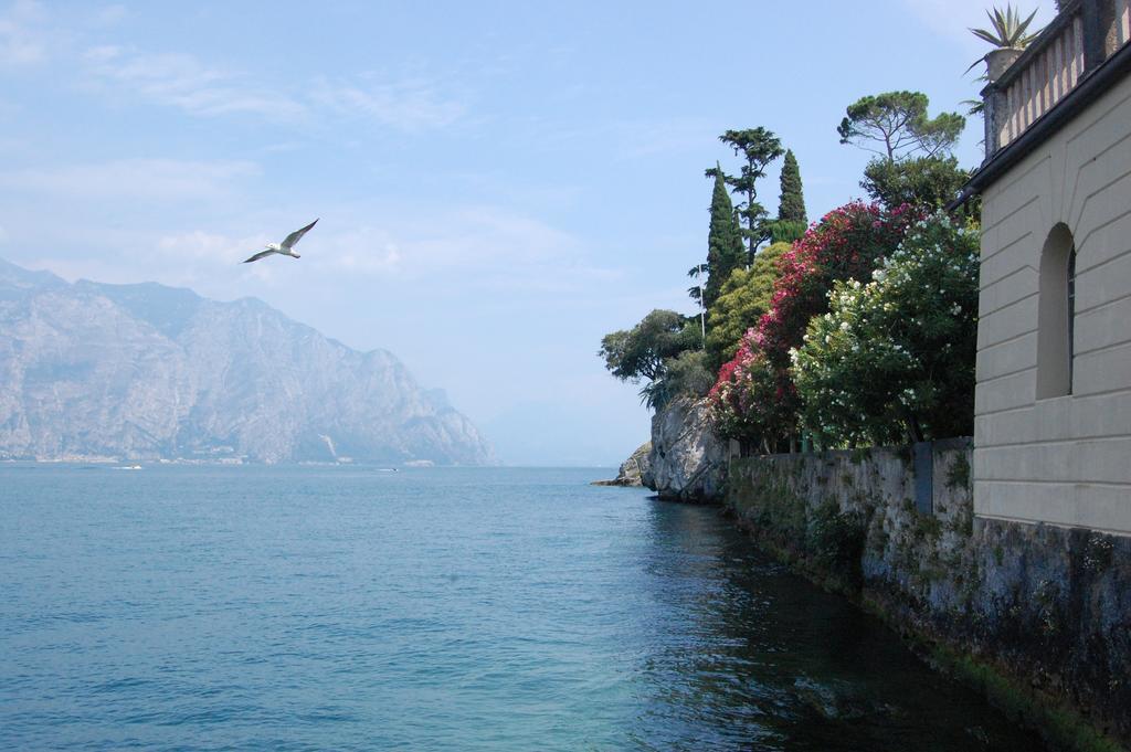 Casella'S Apartments Malcesine Dış mekan fotoğraf